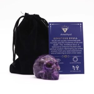 Transformational Large Crystal Skull Amethyst
