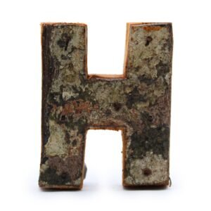 Rustic Initial Decor Letter H Wood