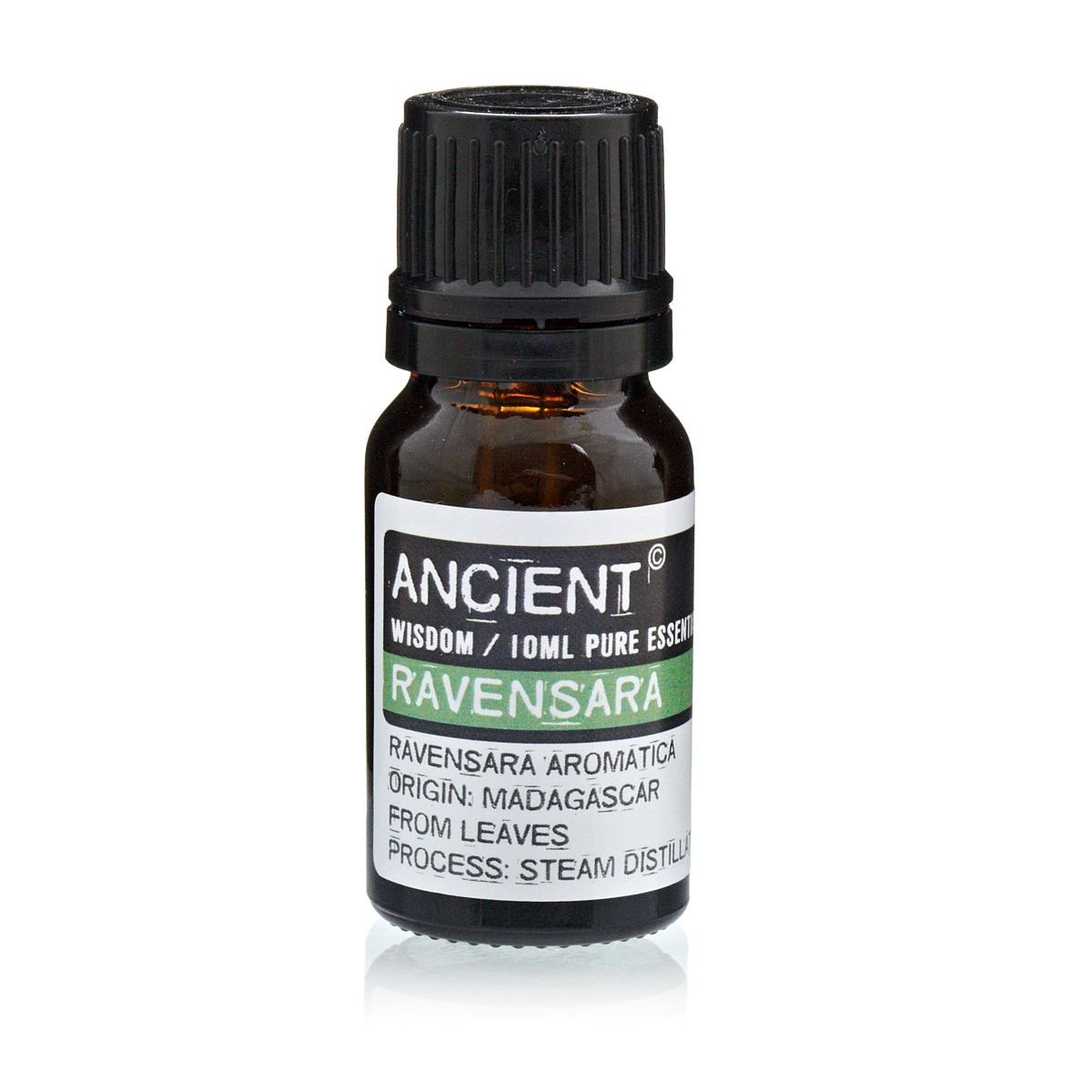 immune shield essential oil ravensara Immune Shield Essential Oil Ravensara