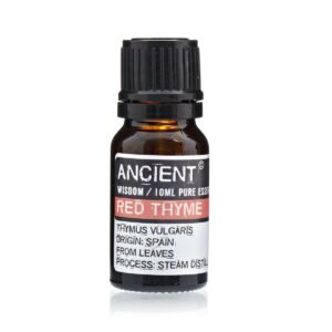 Purifying Essential Oil Red Thyme Leaf