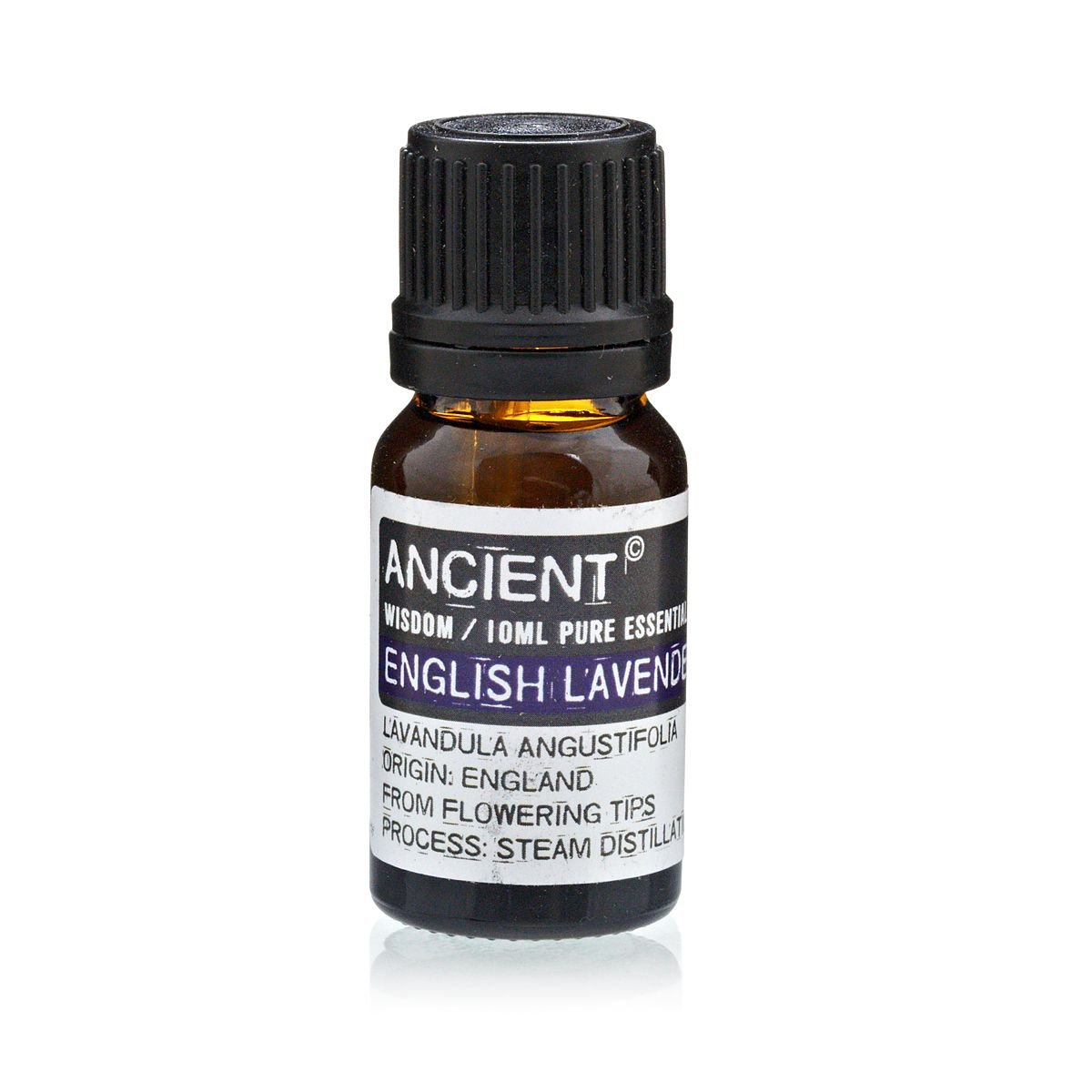 serene tranquility essential oil english lavender Serene Tranquility Essential Oil English Lavender