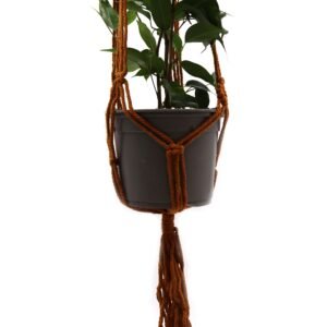 Earthy Hanging Plant Holder Chocolate Macramé