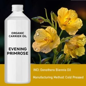 Balancing Renewal Facial Oil Evening Primrose